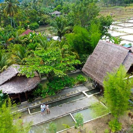Tropical Jungle Lodge & Jungle Trekking Bukit Lawang Exteriör bild