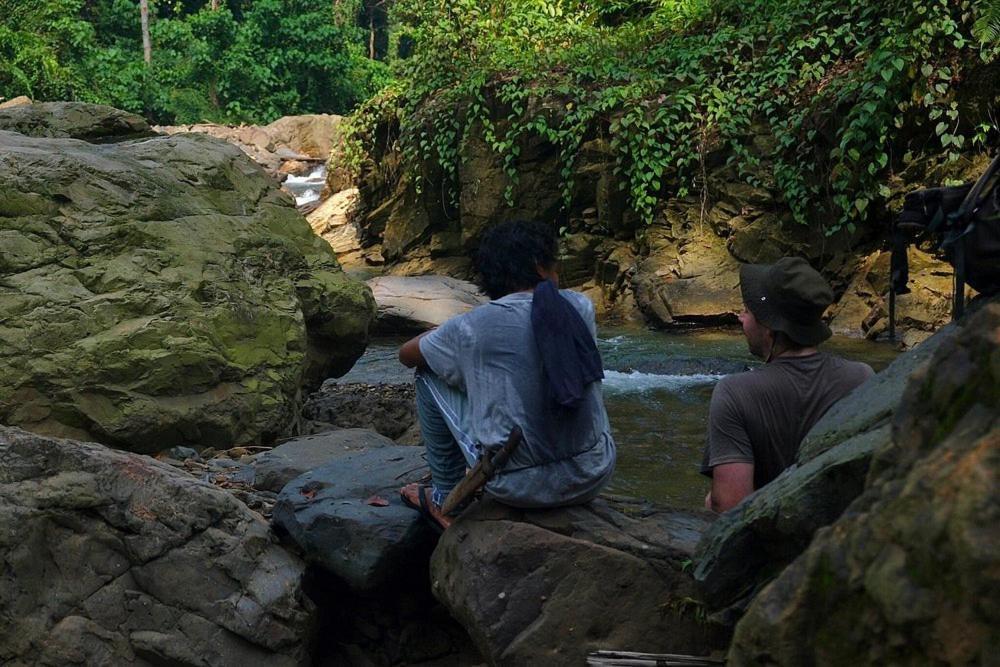 Tropical Jungle Lodge & Jungle Trekking Bukit Lawang Exteriör bild