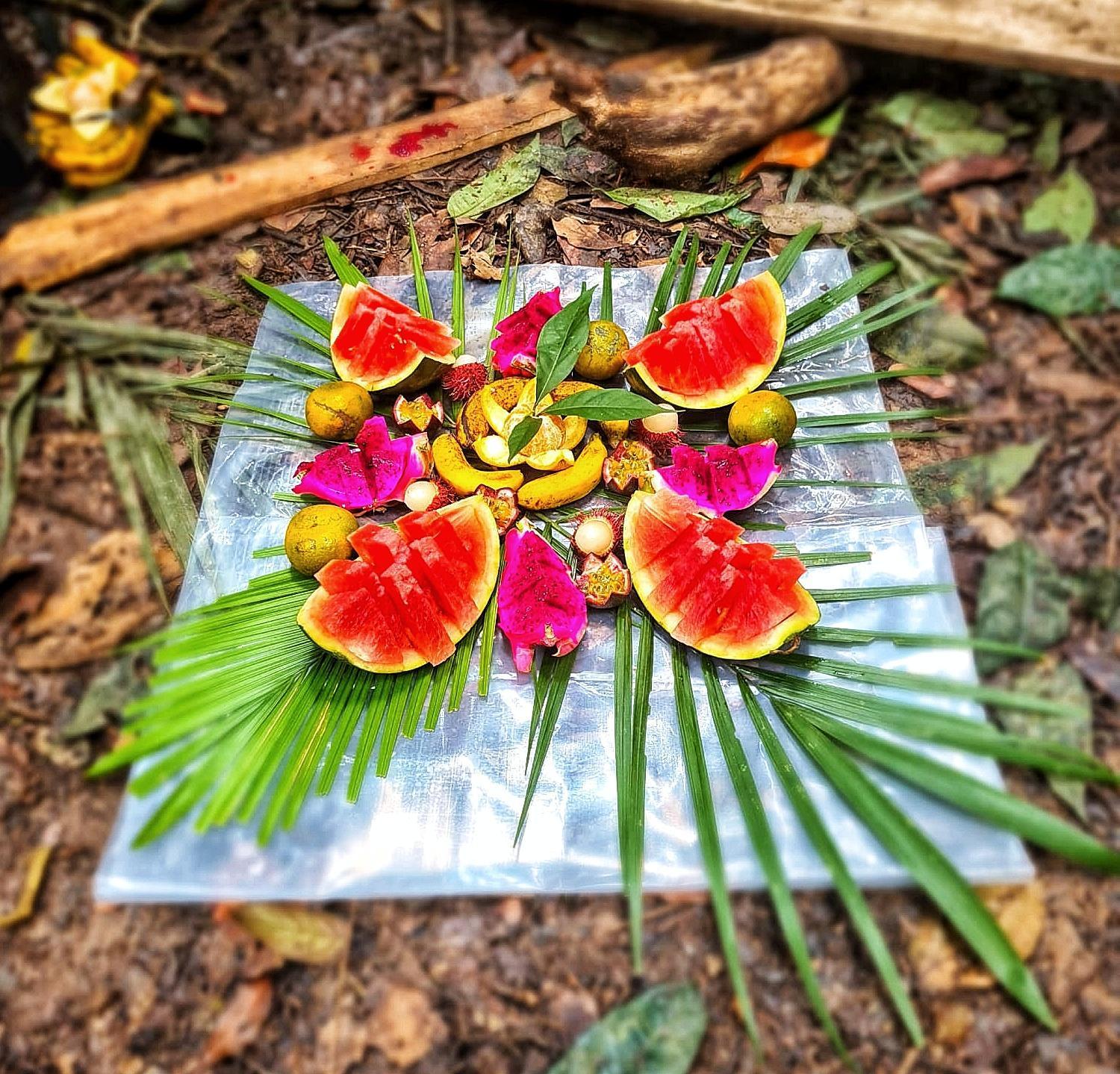 Tropical Jungle Lodge & Jungle Trekking Bukit Lawang Exteriör bild