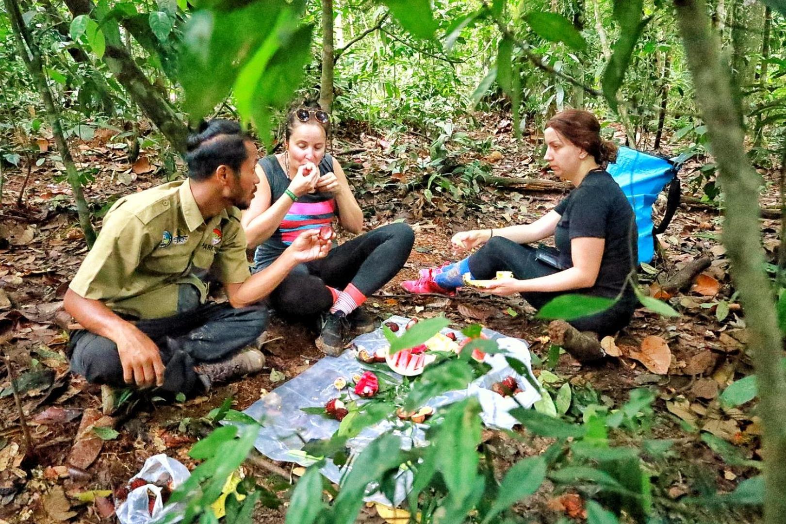 Tropical Jungle Lodge & Jungle Trekking Bukit Lawang Exteriör bild