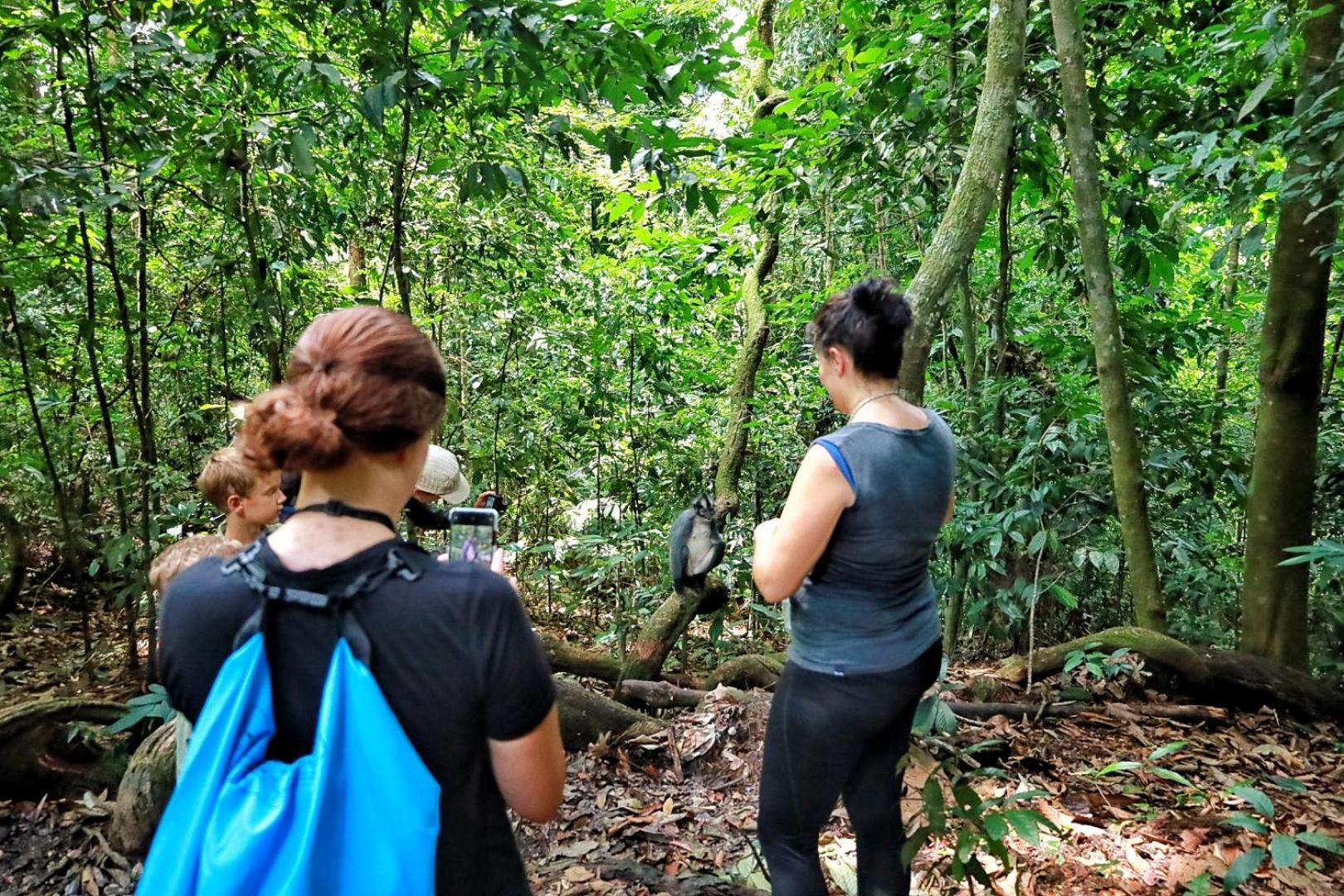 Tropical Jungle Lodge & Jungle Trekking Bukit Lawang Exteriör bild