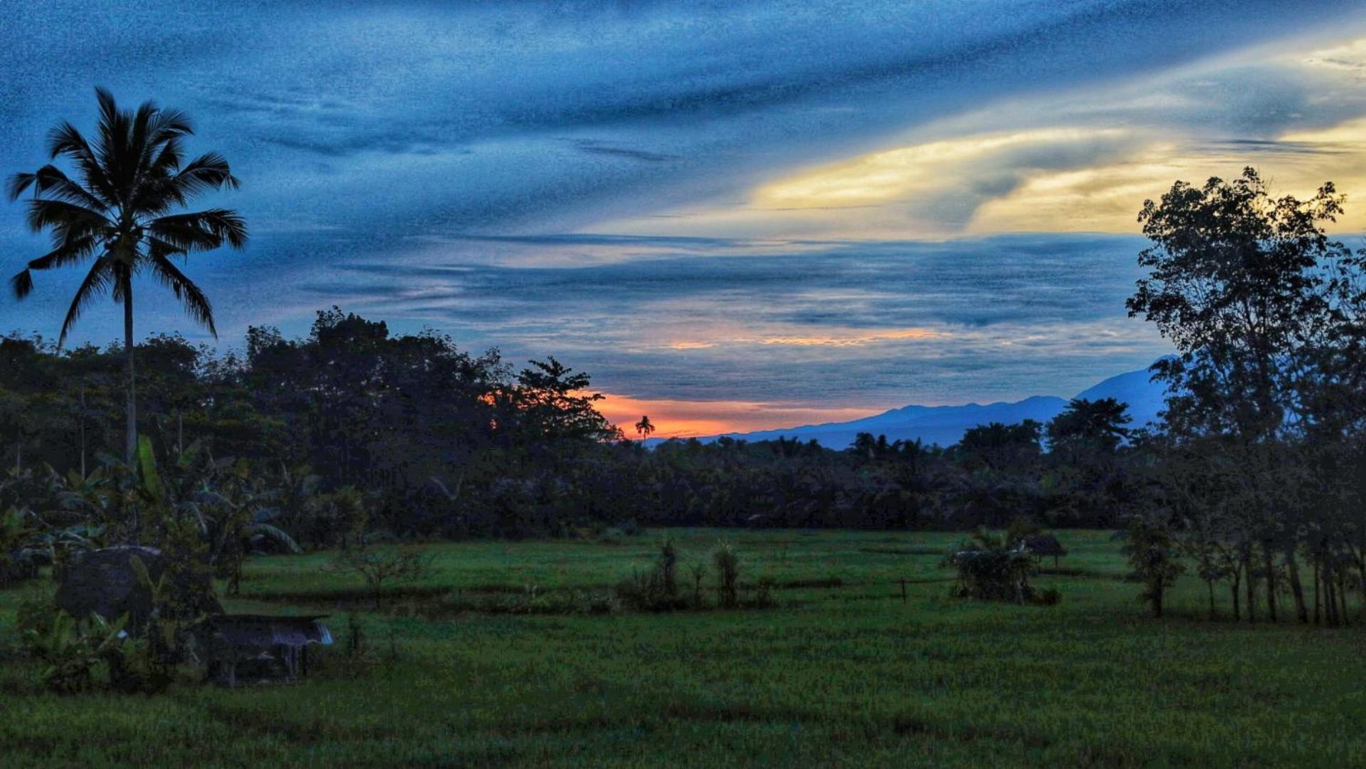 Tropical Jungle Lodge & Jungle Trekking Bukit Lawang Exteriör bild