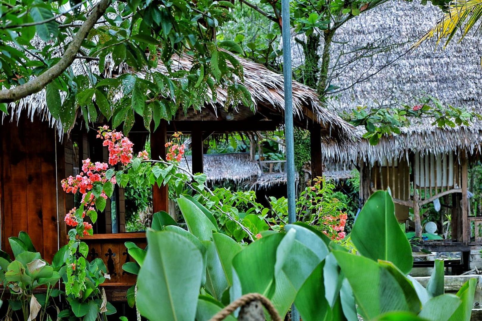 Tropical Jungle Lodge & Jungle Trekking Bukit Lawang Exteriör bild