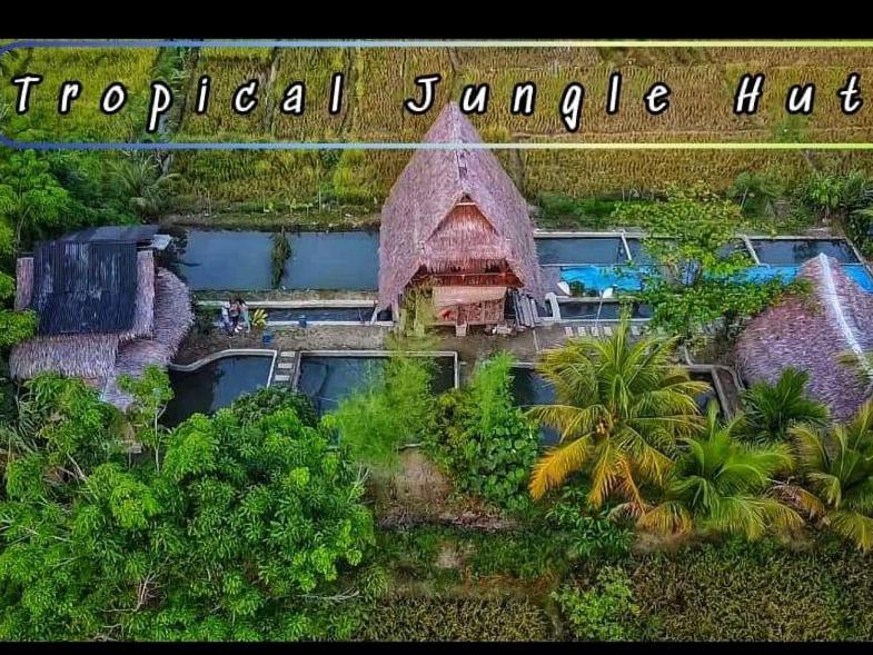 Tropical Jungle Lodge & Jungle Trekking Bukit Lawang Exteriör bild