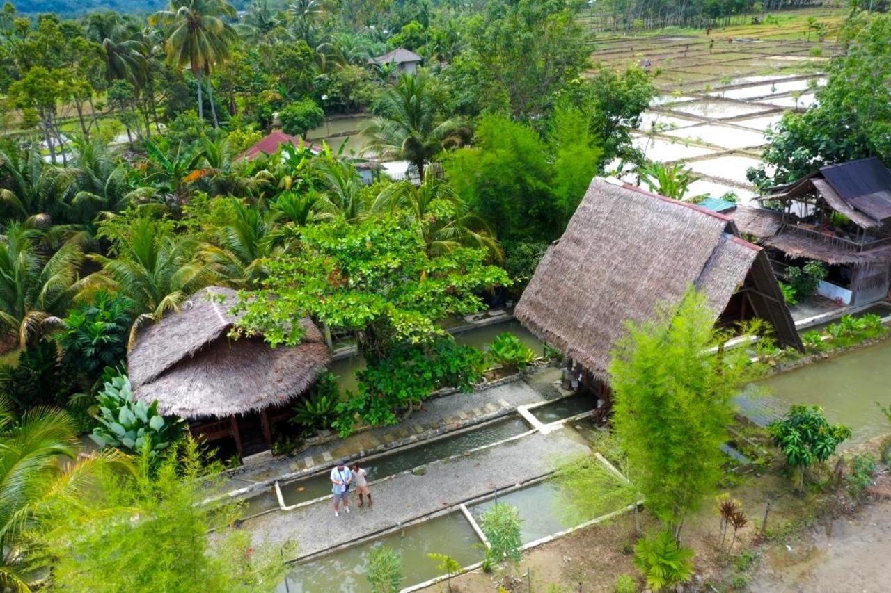 Tropical Jungle Lodge & Jungle Trekking Bukit Lawang Exteriör bild